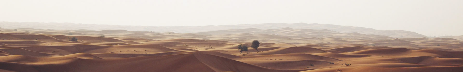 ޹˾